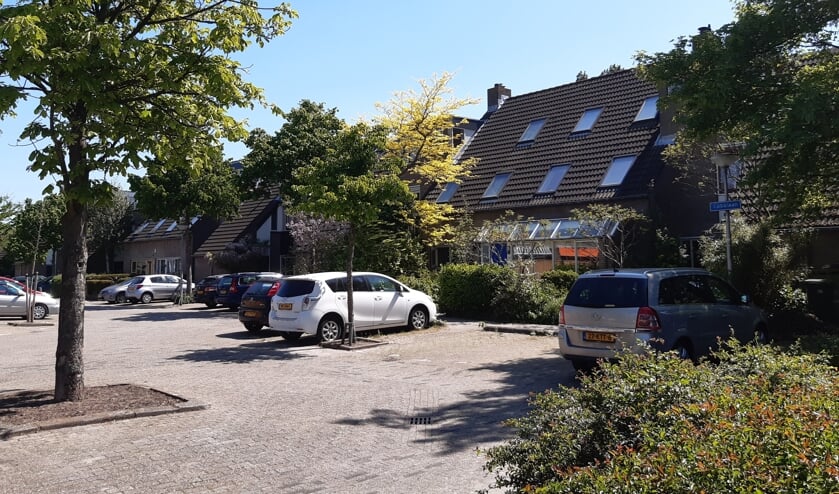 Studenten hebben onderzoek gedaan naar de openbare ruimte in Tanthof (Foto: Gerben Helleman)
