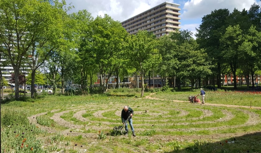 Het frezen van het veld en planten van de zonnebloempittenin Voorhof