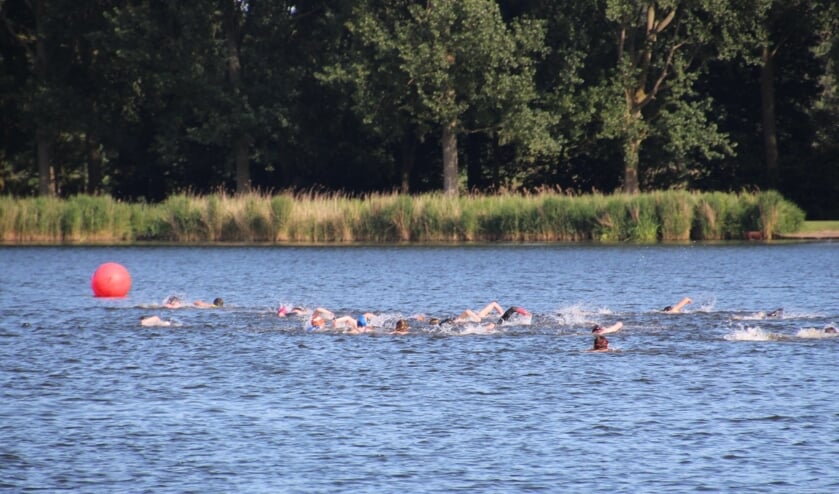 <p>Zwemmers in de Delftse Hout</p>  