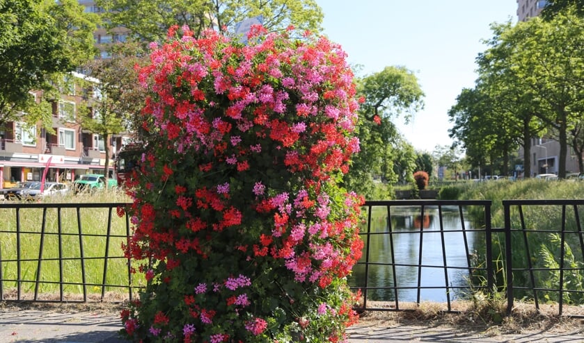 <p>Een Flower Tower in Delft. (Foto: Jori Noordhoek)</p>