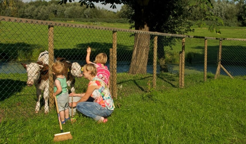 <p>Alle ingrediënten voor goede kinderopvang op Hoeve Ackerdijk: toezicht, veiligheid en ruimte (Tekst: Rianne Dekker)</p>