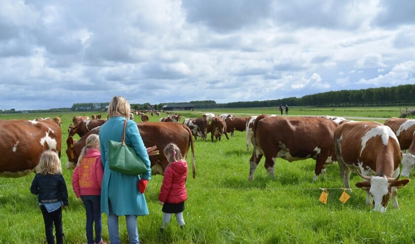 <p>Bieslanddagen</p>