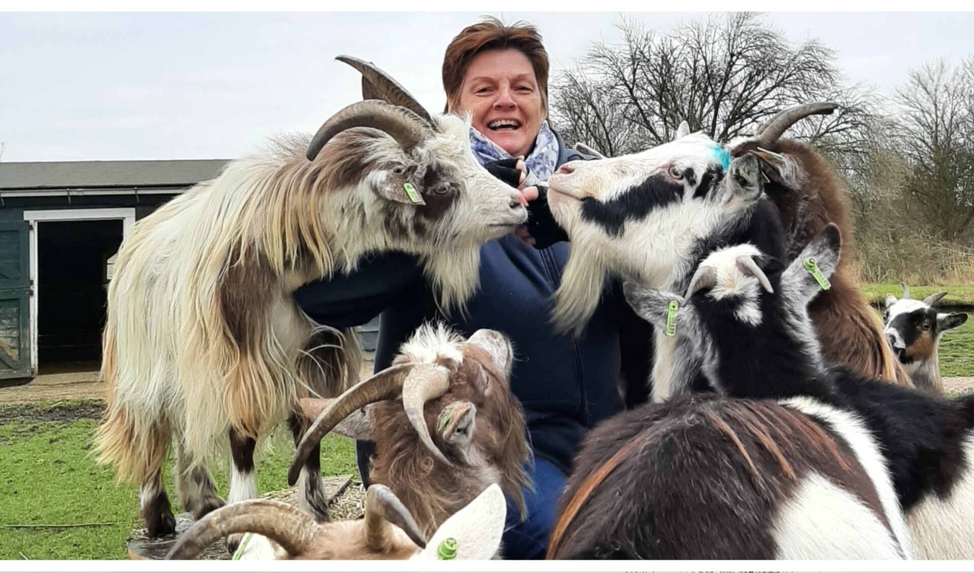 Bianca Verboog met de geiten van de kinderboerderij in Tanthof