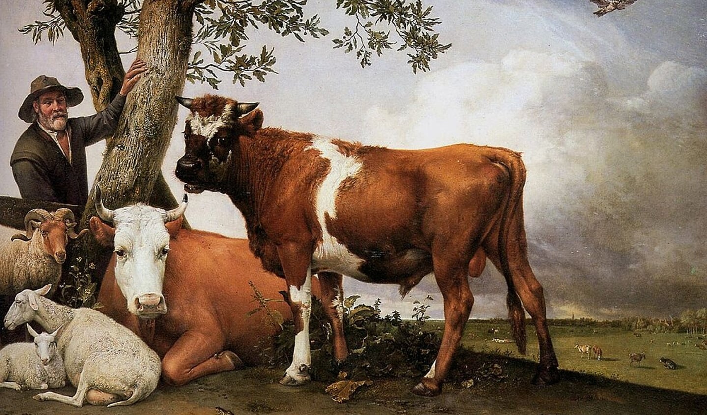 De Stier van Paulus Potter, net buiten Delft. 1647. (Tekst: Jeroen Stolk)