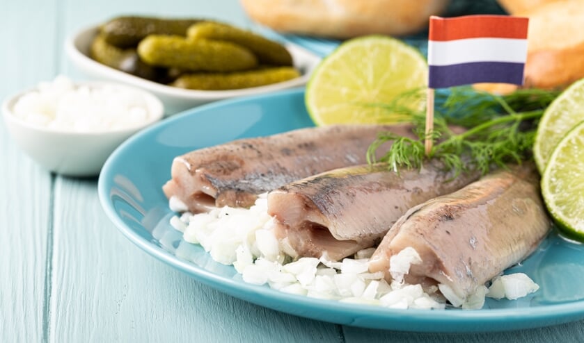 Kom jij een Hollandse Nieuwe happen?