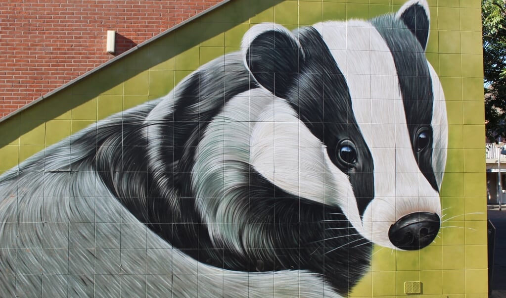 De toepasselijke das in de Dasstraat lijkt zó van de muur te kunnen komen. Foto: EvE) 