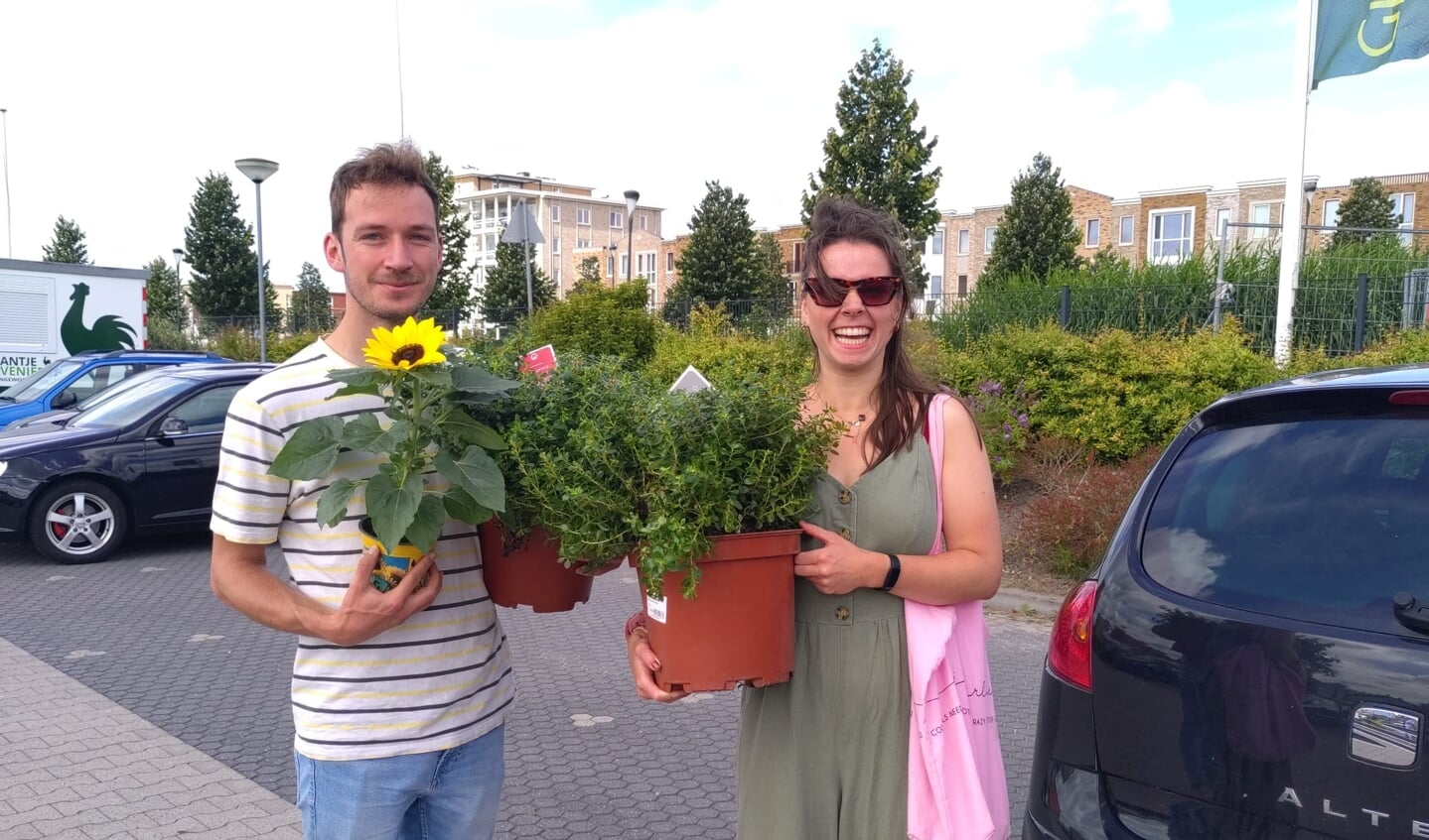 Tegel Eruit, Plant Erin