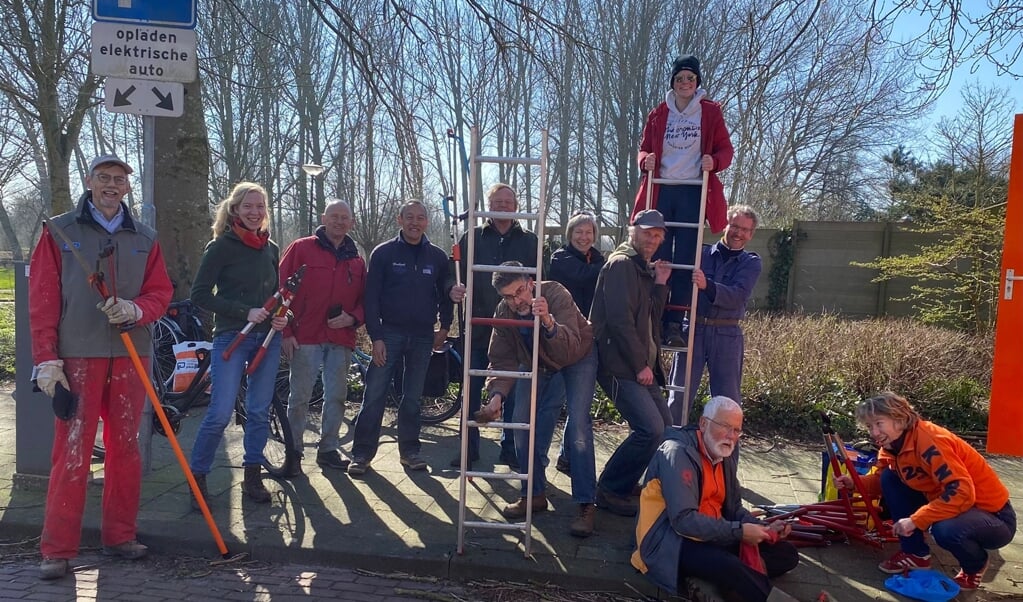 Wilgen knotten