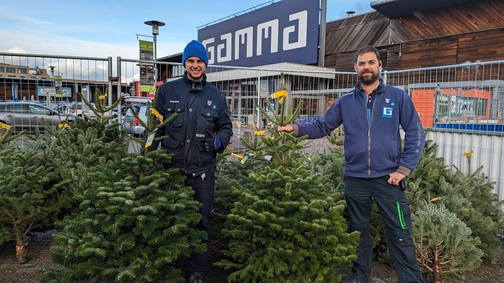 Bart en Brian van Gamma Delft helpen u graag met het uitzoeken van een mooie kerstboom! 