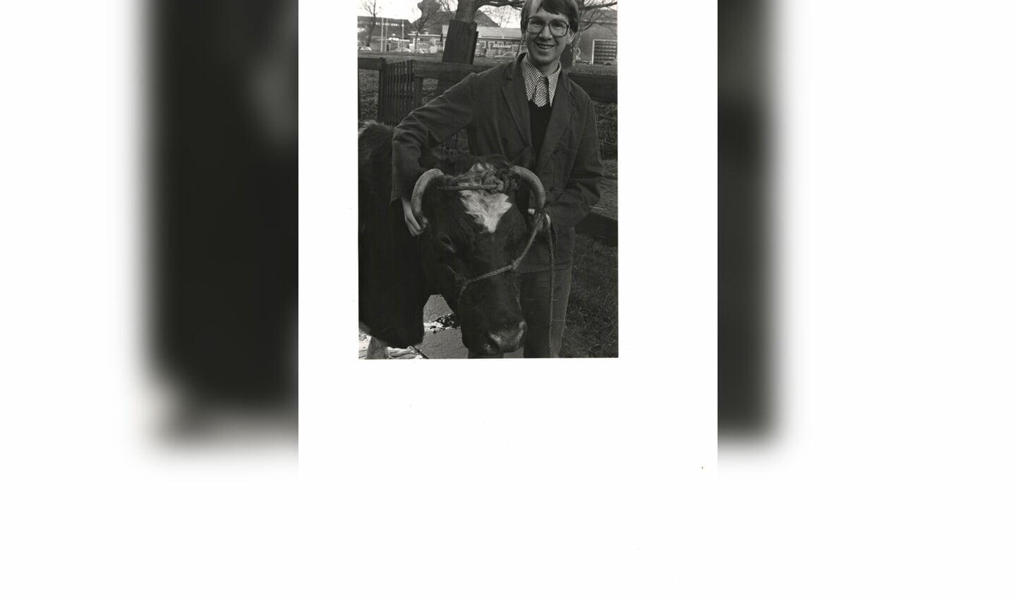 Frank Driehuijs, toen 29, vatte de koe op een diervriendelijke manier zelf bij de hoorns