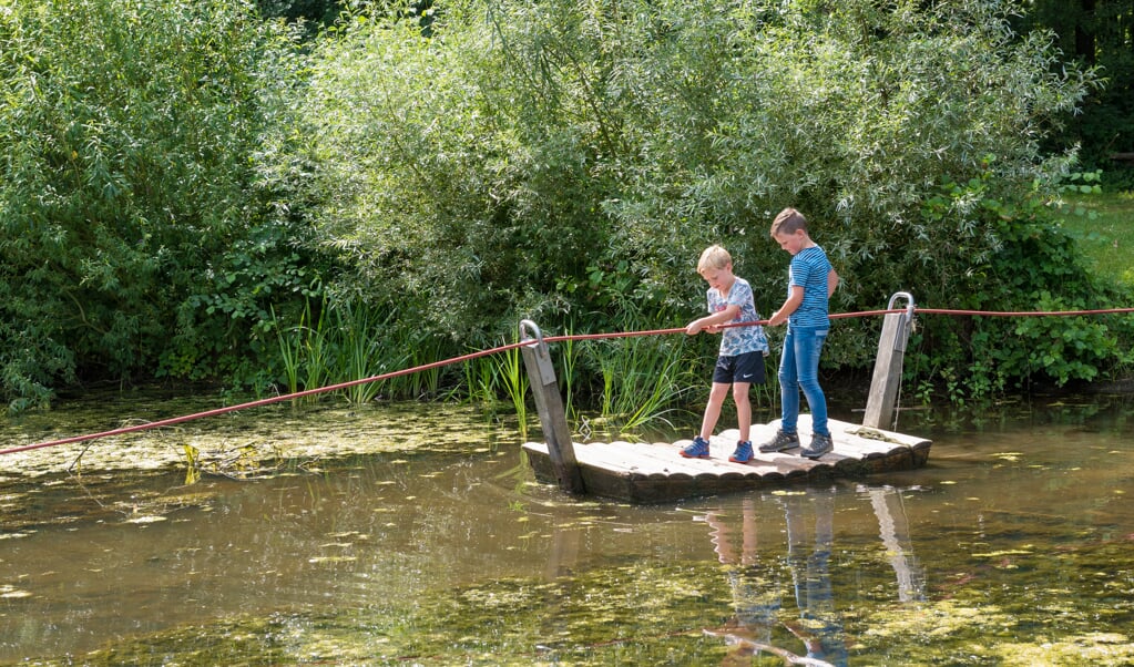In het Abtswoudse Bos is straks ook speelnatuur te vinden voor de jeugd (Foto: Staatsbosbeheer)