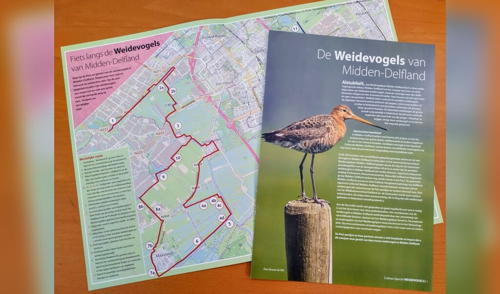 Na het succes van 6 jaar geleden heeft het Weidevogelpact Midden-Delfland haarweidevogelspecial opnieuw uitgegeven. 