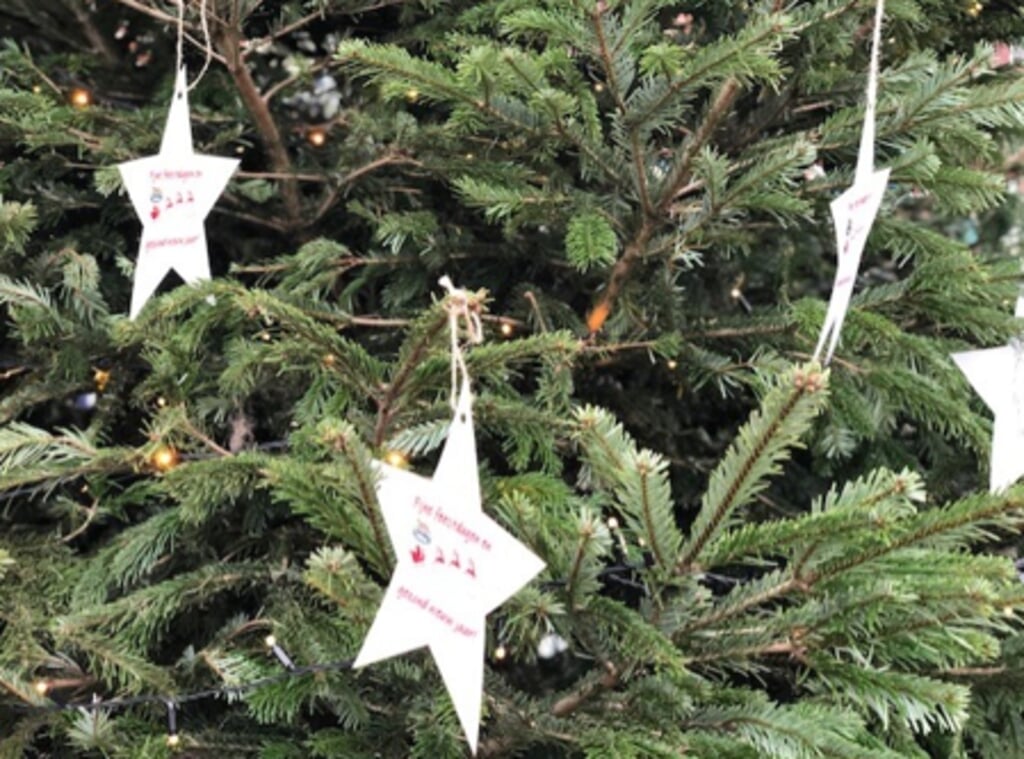 Basisschoolkinderen hebben hun kerstwensen in de kerstboom bij De Yp gehangen