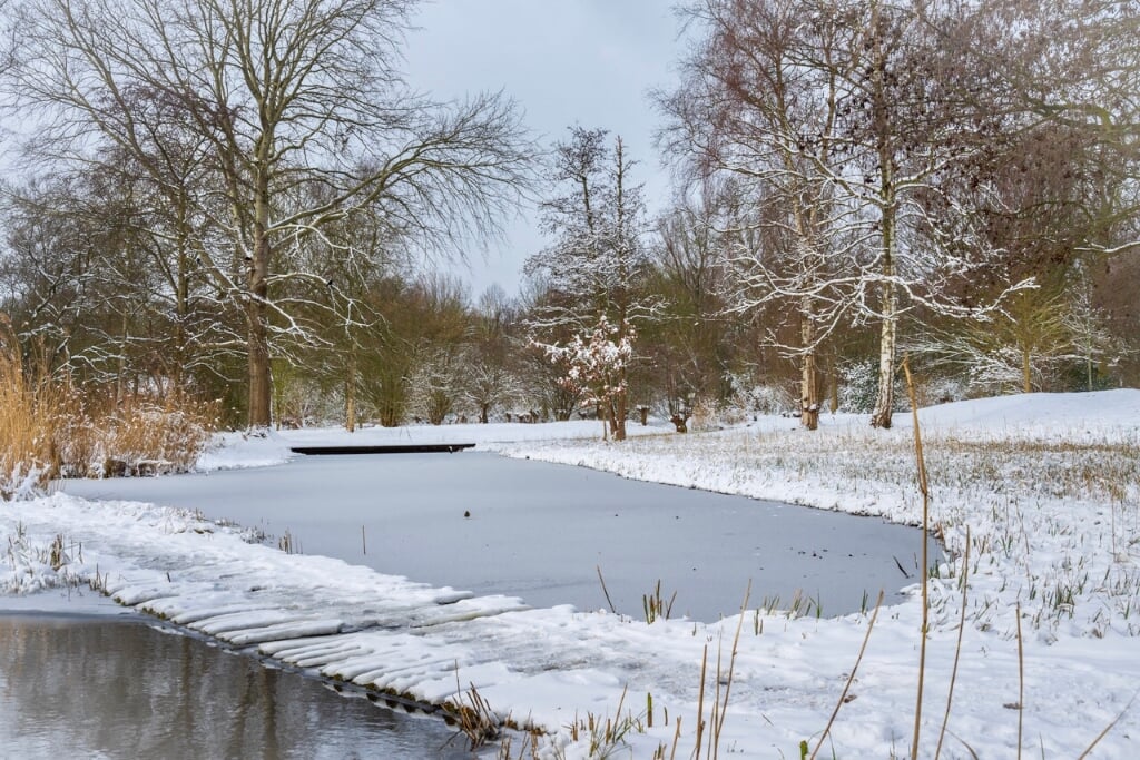 Winters Arboretum-Heempark (Foto: Mario Brussé)