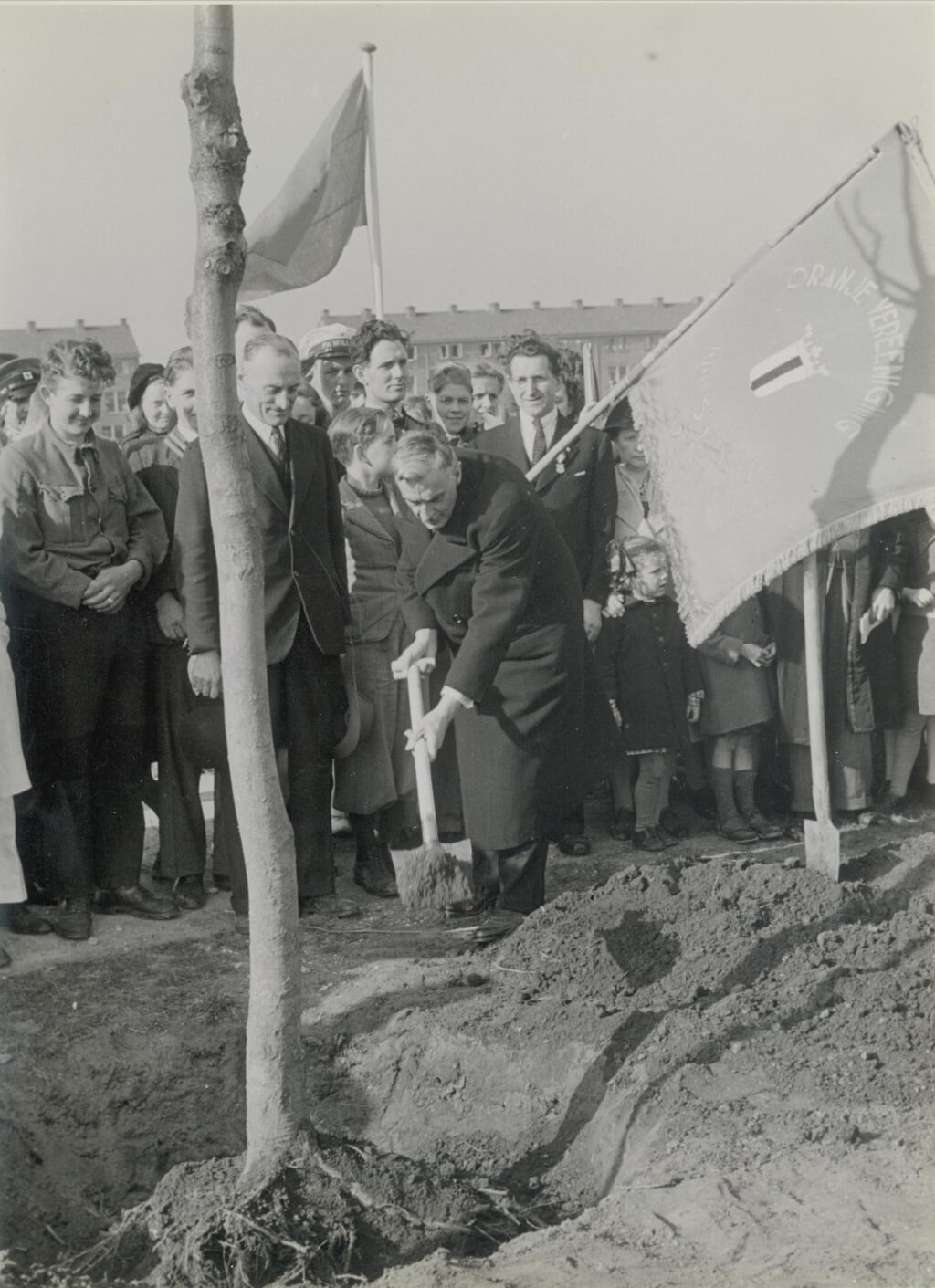 Delft werkt in maart 1946 hard aan de leefbaarheid van de stad: Burgemeester Van Baren plant een boom in het Wilhelminapark en er zijn grootse plannen voor het aanstaande eeuwfeest. (Foto: Van der Reijken, affiche Chapi; Stadsarchief Delft)