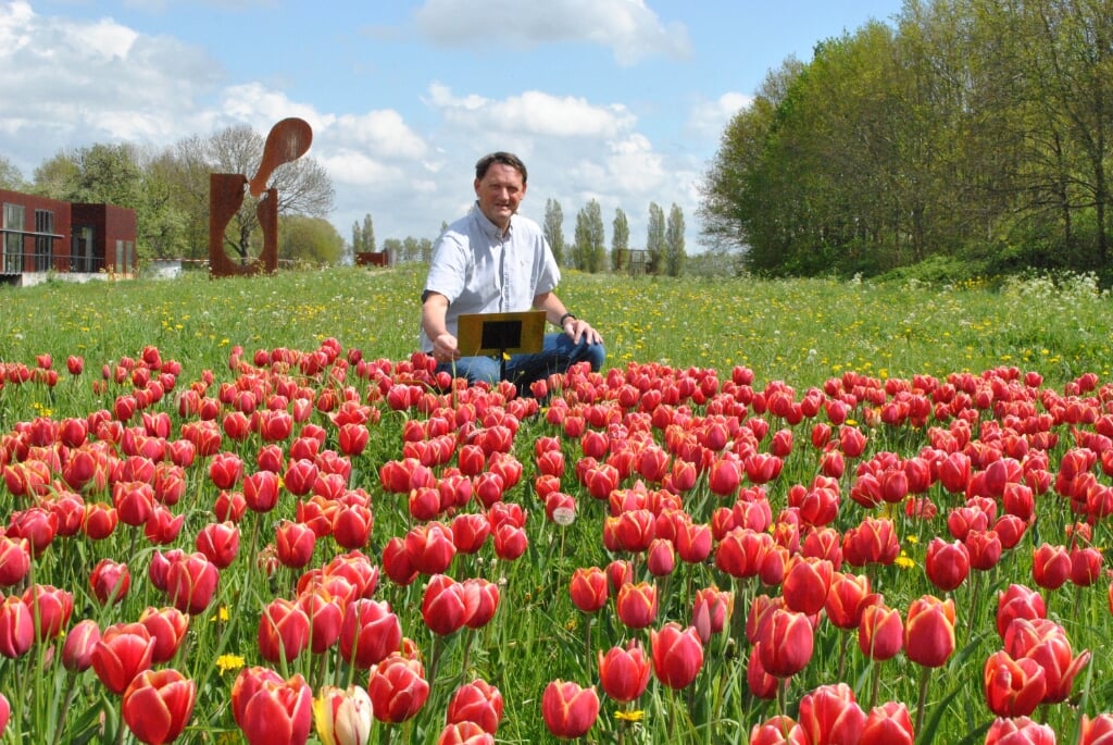 Voorzitter Hans Lodder bij het tulpenveldje, waar hij deze week een plaatje onthulde met daarop informatie over het doel van de tulpenactie 