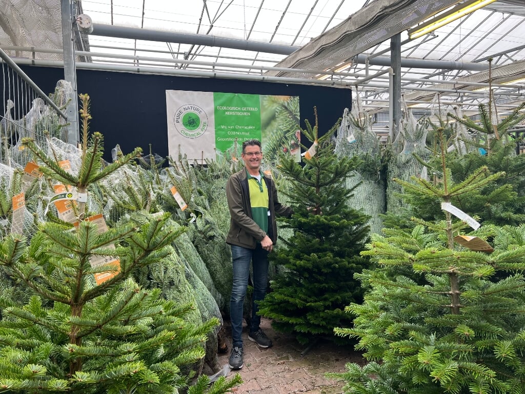 Winkelmanager Jean Lamet is enthousiast over de kwaliteit van de kerstbomen dit jaar