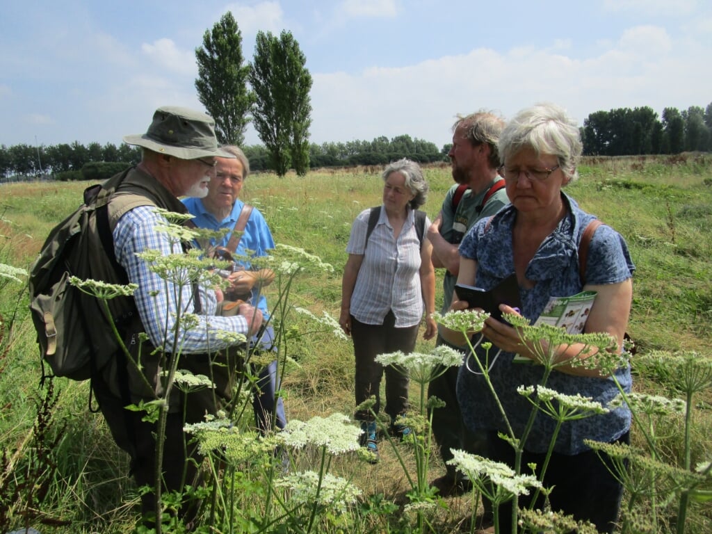 Workshop bijen en planten