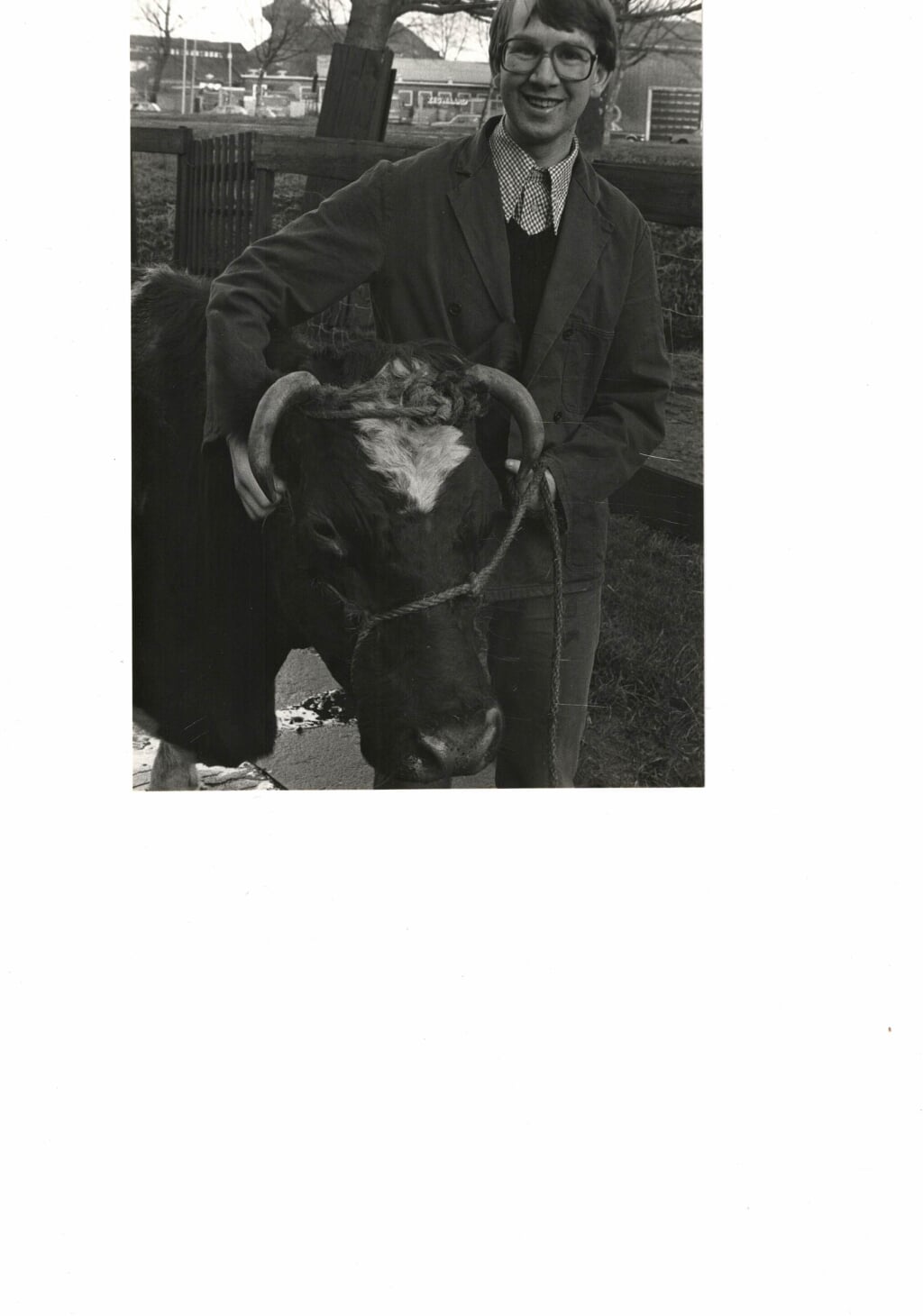 Frank Driehuijs, toen 29, vatte de koe op een diervriendelijke manier zelf bij de hoorns