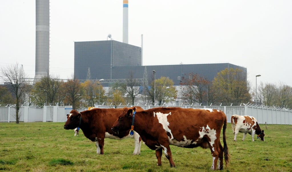 <p>Atomkraftværket i Brunsbüttel skal sammen med de to øvrige i Slesvig-Holsten rives ned.</p> ( Carsten Rehder/dpa.)