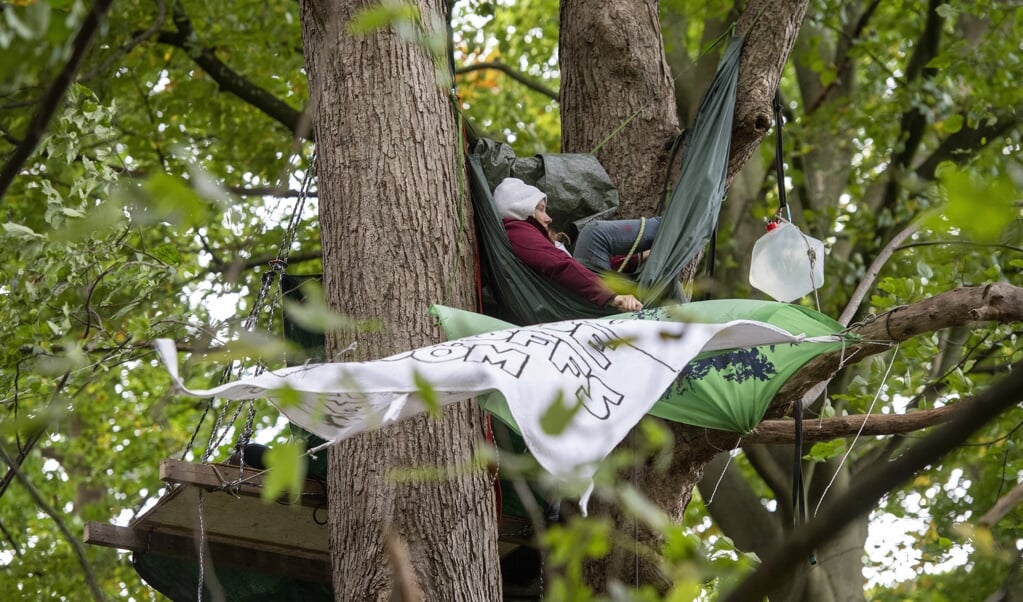 Tvangsfjernelse af klimaaktivisterne, der besætter træerne i banegårdskoven er i første omgang afyst, siger politiets fagforening Gewerkschaft der Polizei. (Arkivfoto: Tim Riediger)
