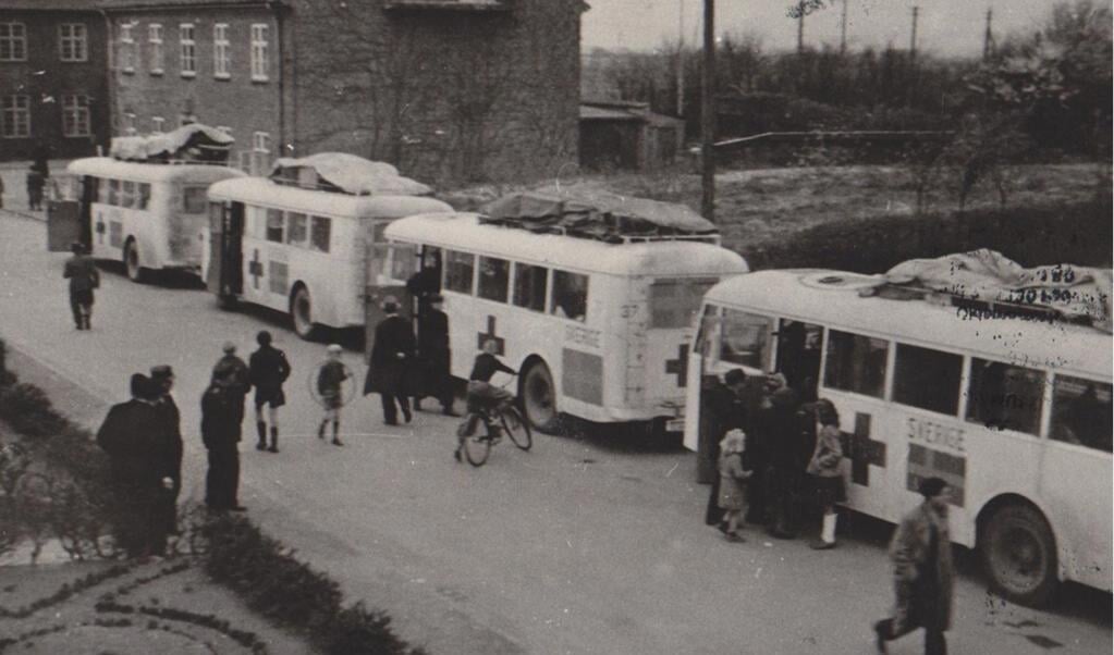 De hvide busser satte deres præg på gadelivet i Padborg kort før og efter befrielsen i 1945. 153 jøder hørte til de mirakuløst reddede.   ( Lokalarkivet Bov)