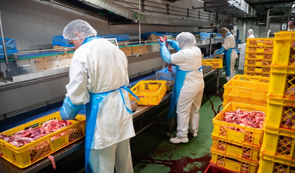Schärfere Regeln für die Fleischbranche im Umgang mit Mitarbeitern haben zu neuen Tarifverhandlungen geführt, die ins Stocken geraten sind. Im Norden sind auch Beschäftigte in den Fabriken in Satrup und Böklund betroffen. ( Archivfoto: dpa)