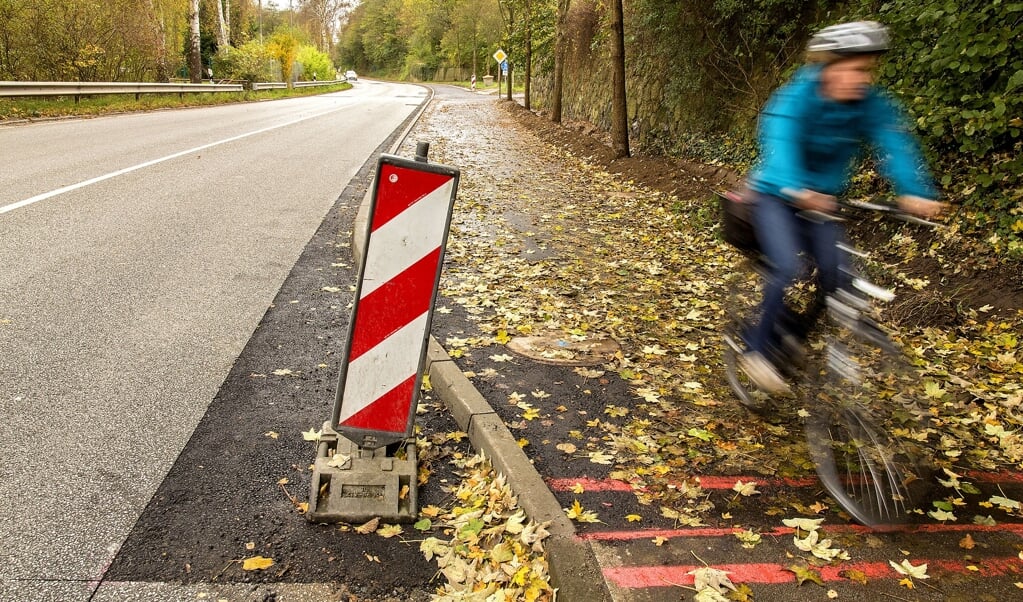 Det skal være sikkert og attraktiv at tage cykel i Flensborg. Trafikkluben VCD i Flensborg har derfor udviklet et forslag til en cykelrutenet. Arkivfoto: Lars Salomonsen ( )