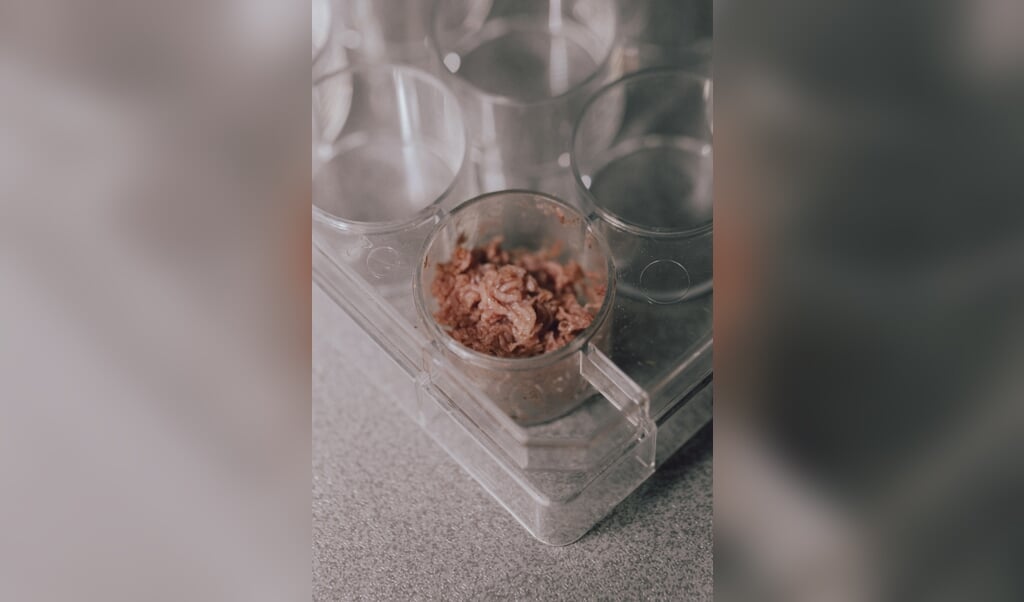 Leckere Alternative zum Fleisch? Laborfleisch hat gar nicht so einen schlechten Ruf. Das überrascht die Forscher. ( Kasper Løftgaard, Scanpix)