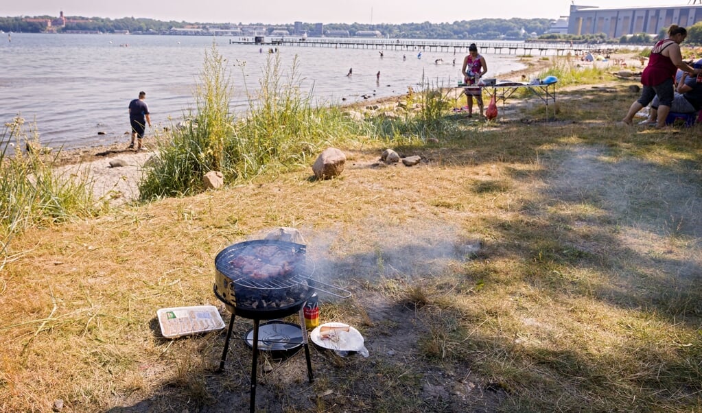<p>I stedet for grillning direkte på stranden ønsker SPD, at der blandt andet skal være faste grillpladser for at gøre det mere sikkert at færdes på stranden. Arkivfoto: Lars Salomonsen.</p> (Lars Salomonsen)