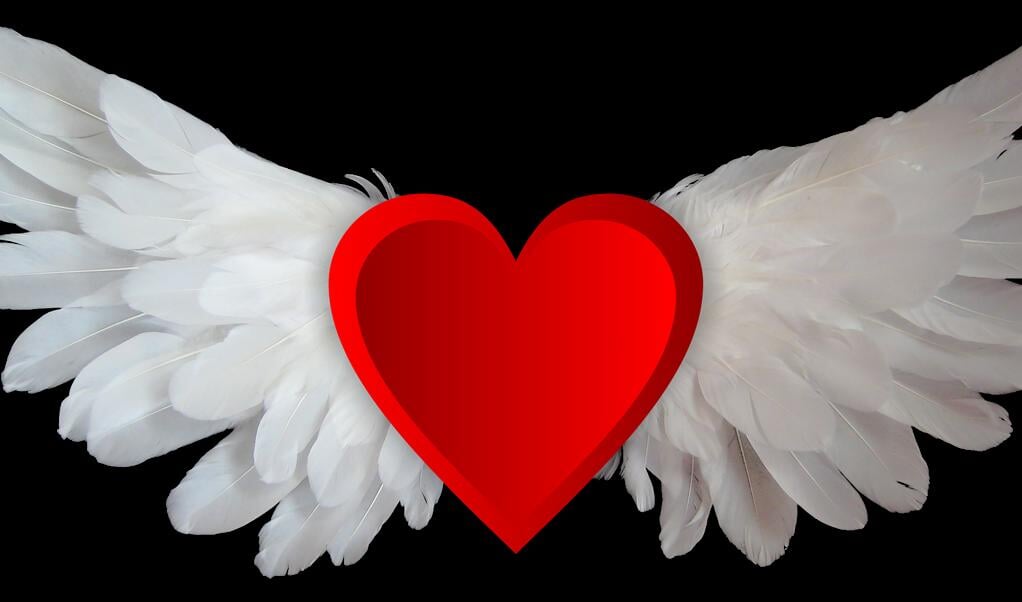 <p>Die Liebe verleiht dem Menschen Flügel, heißt es, aber plötzlich ist zwischen Frauen und Männern in Dänemark nichts mehr so leicht und locker wie bisher. Erneut ist eine Diskussion darüber ent-brannt, was an Auftreten und Kommentaren noch erlaubt ist und was nicht. Die MeToo-Bewegung hat in Dänemark neuen Auftrieb bekommen, und von Politikern über Wirtschaftsbosse bis zu Chefredakteuren fühlen sich alle bemüßigt, Verantwortung zu zeigen und sich von Anzüglichkeiten, Zweideutigkeiten und Schlimmerem zu distanzieren. </p> ( Pixabay)