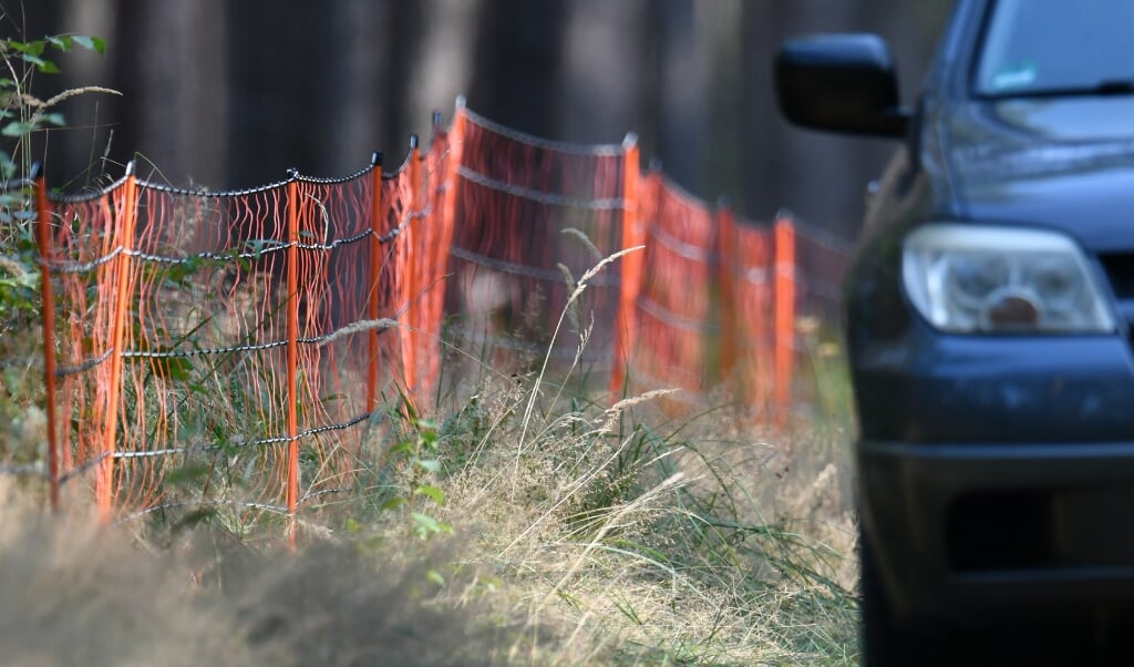 <p>Findestedet er blevet indhegnet med et 12 kilometer langt, elektrisk hegn.</p> ( Bernd Settnik/dpa-Zentralbid/dpa.)