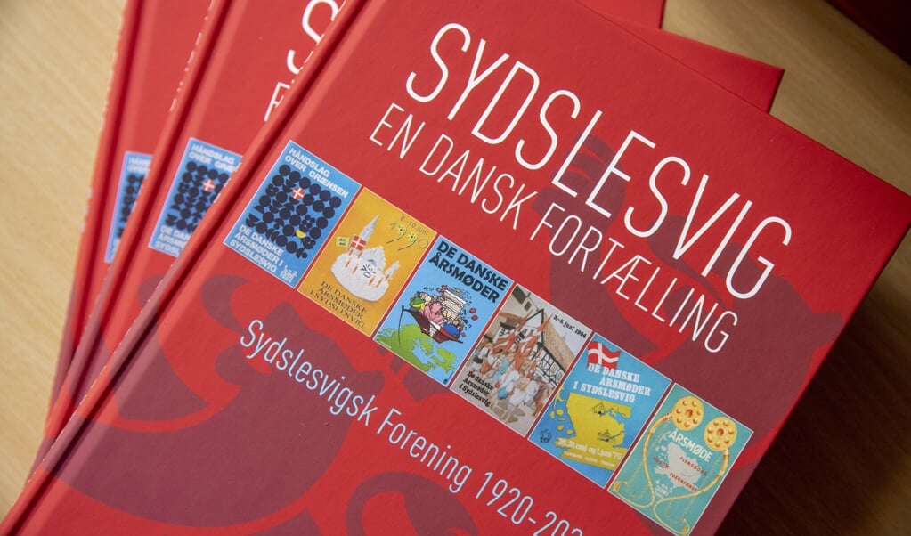 Merete Bo Thomsens bog om Sydslesvigsk Forenings historie er en grundig og stærk analytisk fremstilling, der ikke på noget tidspunkt fortaber sig i detaljer, men giver læseren et solidt overblik ( Tim Riediger)