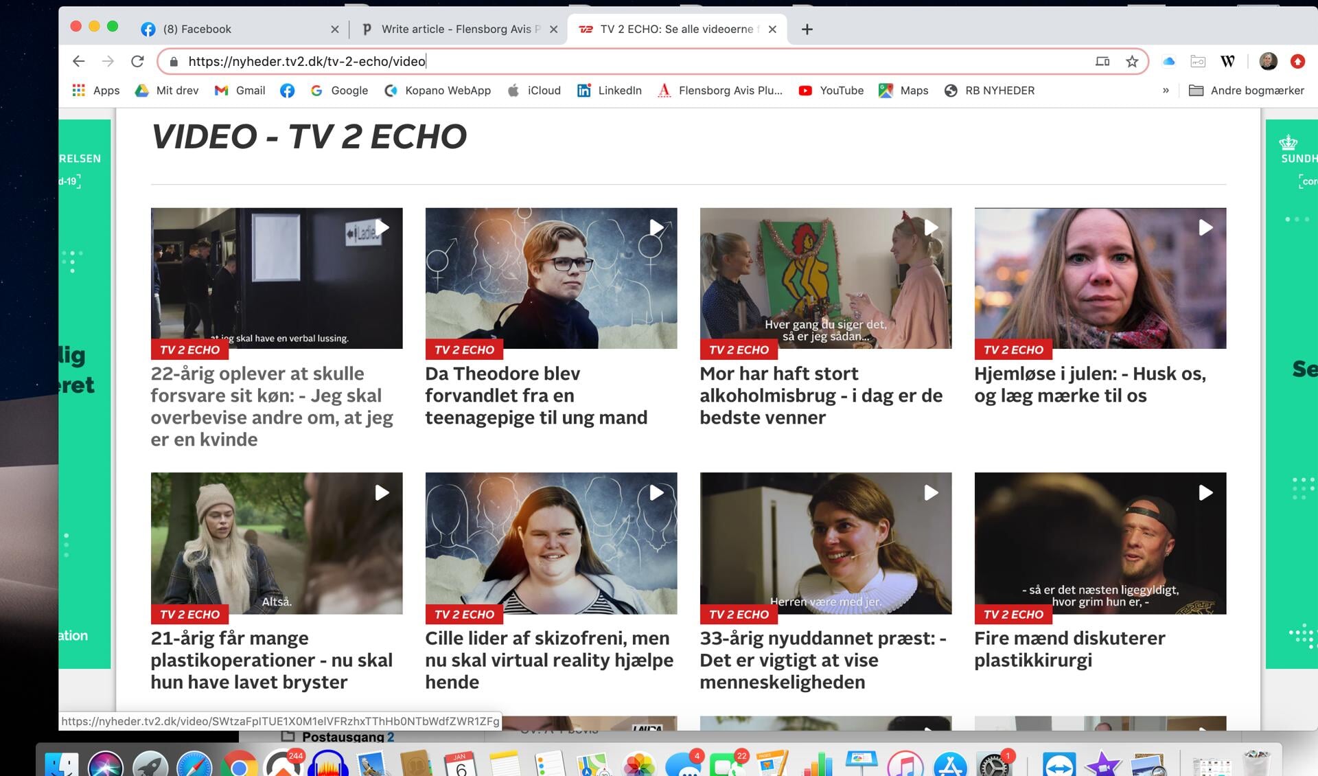 Nye bryster, døde grise, transkønnethed..emner spænder bredt i de videoer, der ligger på TV 2 Echo. De er ret korte og tekstet.