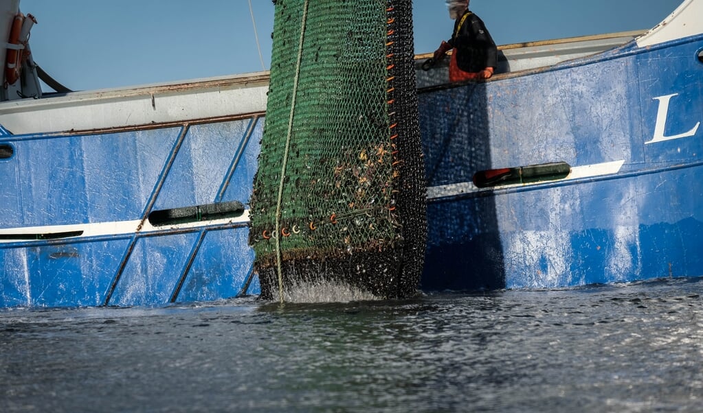 Im deutschen Teil der Förde verboten: Muschelfischer holen ihre Schleppnetze an Bord der »Smilla« – nach dänischem Recht ist das erlaubt.   (Freelance 3)