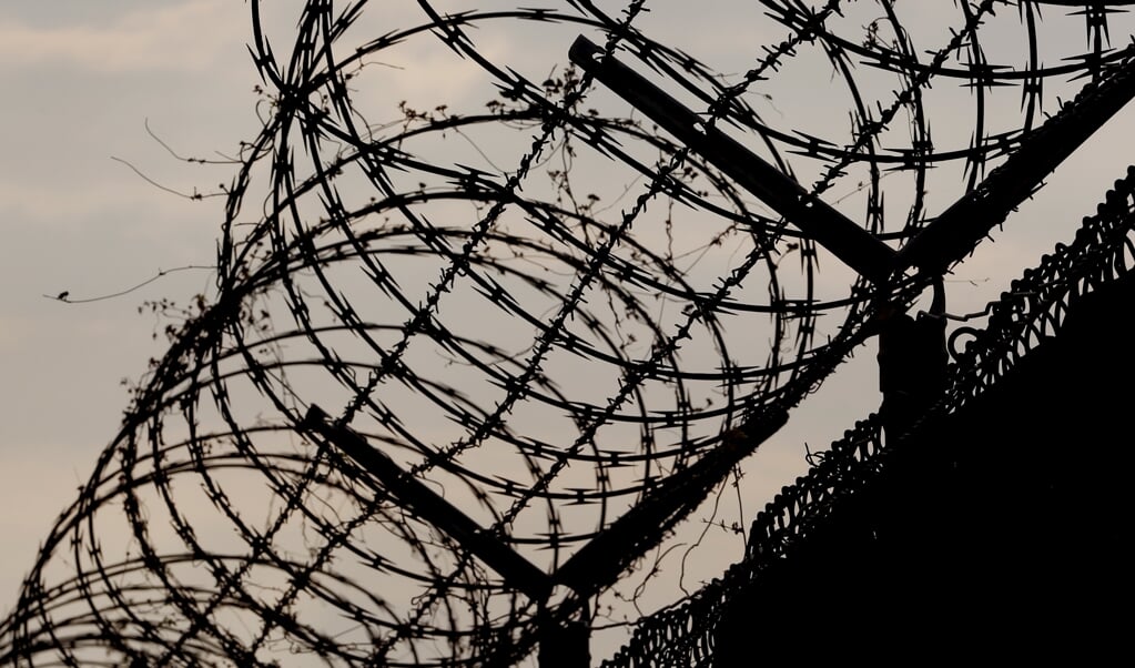 Pigtråden, som blev indkøbt i 2015, er af typen concertina, ligesom på dette billede fra Guantanamo-lejren. ( Lucas Jackson, Ritzau Scanpix)