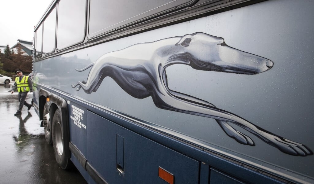 Det ikoniske amerikanske busselskab Greyhound kommer nu på tyske hænder. Her ses en af selskabets busser. (Arkivfoto).  (Darryl Dyck/Ritzau Scanpix)