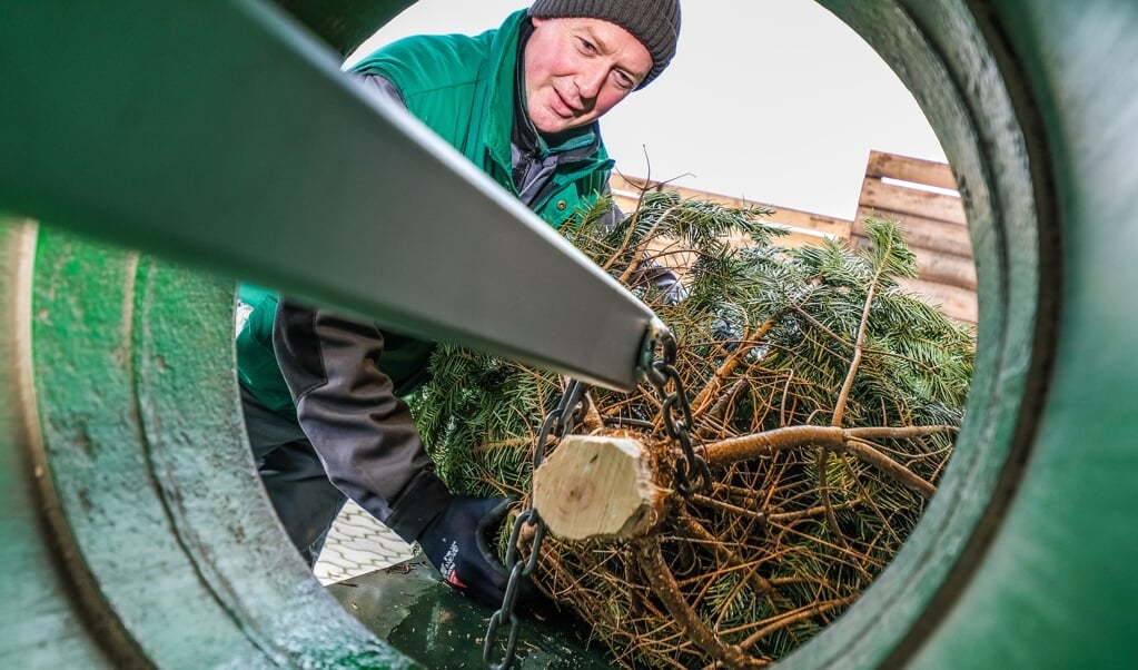 Bernd Martins gør klar til årets først officielle åbningsdag for salg af juletræer. Hofladen Kartoffel Lorenzen i Treja sælger nemlig andet end kartofler. ( Sven Geißler)