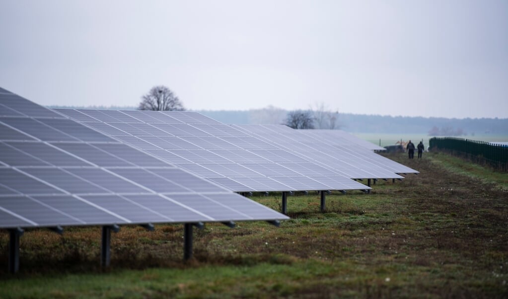 I Nordfrisland er der frygt for, at naturområder og turistdestinationer bliver ødelagt af for mange solarparker. (Christophe Gateau, dpa)