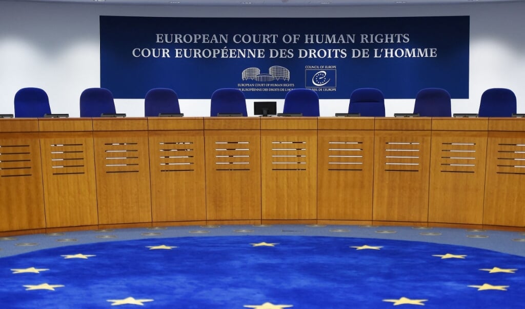 Den Europæiske Menneskerettighedsdomstol har givet en tyrker, som blev dømt til udvisning, medhold i en sag mod Danmark (Arkivfoto).  (Frederick Florin/Ritzau Scanpix)