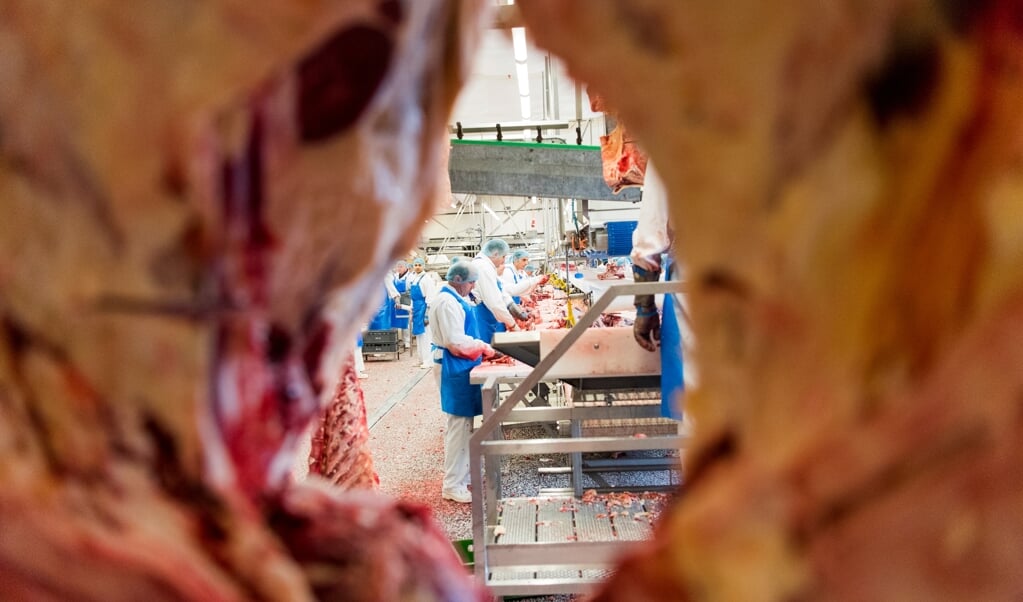 Torsdag vender medarbejderne tilbage til Danish Crown. Myndighederne har givet tilladelse til, at slagteriet kan genåbne, efter at smitten er kommet under kontrol. (Arkivfoto: Martin Ziemer)
