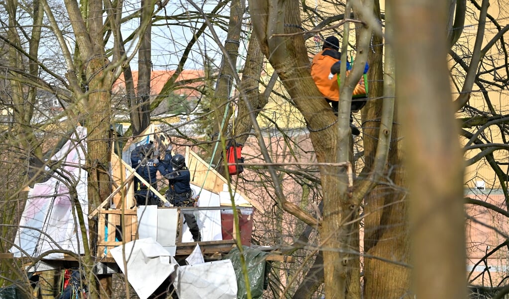 Seit drei Tagen harrt der Aktivist Mike in den Bäumen aus und musste dabei zusehen, wie ein Baumhaus nach dem anderen zerstört wurde. (MARTIN ZIEMER)