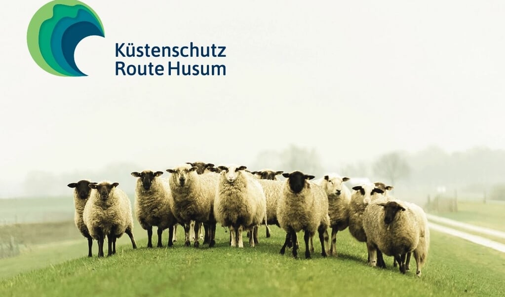 Die zwölf Stationen der Küstenschutzroute Husum verlaufen vom Nissenhaus, am Hafen vorbei und den Deich entlang bis zum Dockkoog. (Franziska Horschig)