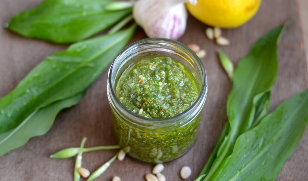 Ramsløgspesto er pærenem at lave, og den har en mere kras smag end pesto af basilikum. En smule honning i blenderen runder smage af. ( Camilla Pi Kirkegaard)
