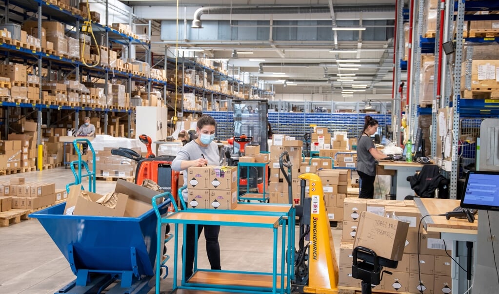 Der er gang i den i internetbutikken Cocopanda i Flensborg, der vil fordoble medarbejdertallet i byen. (Tim Riediger)