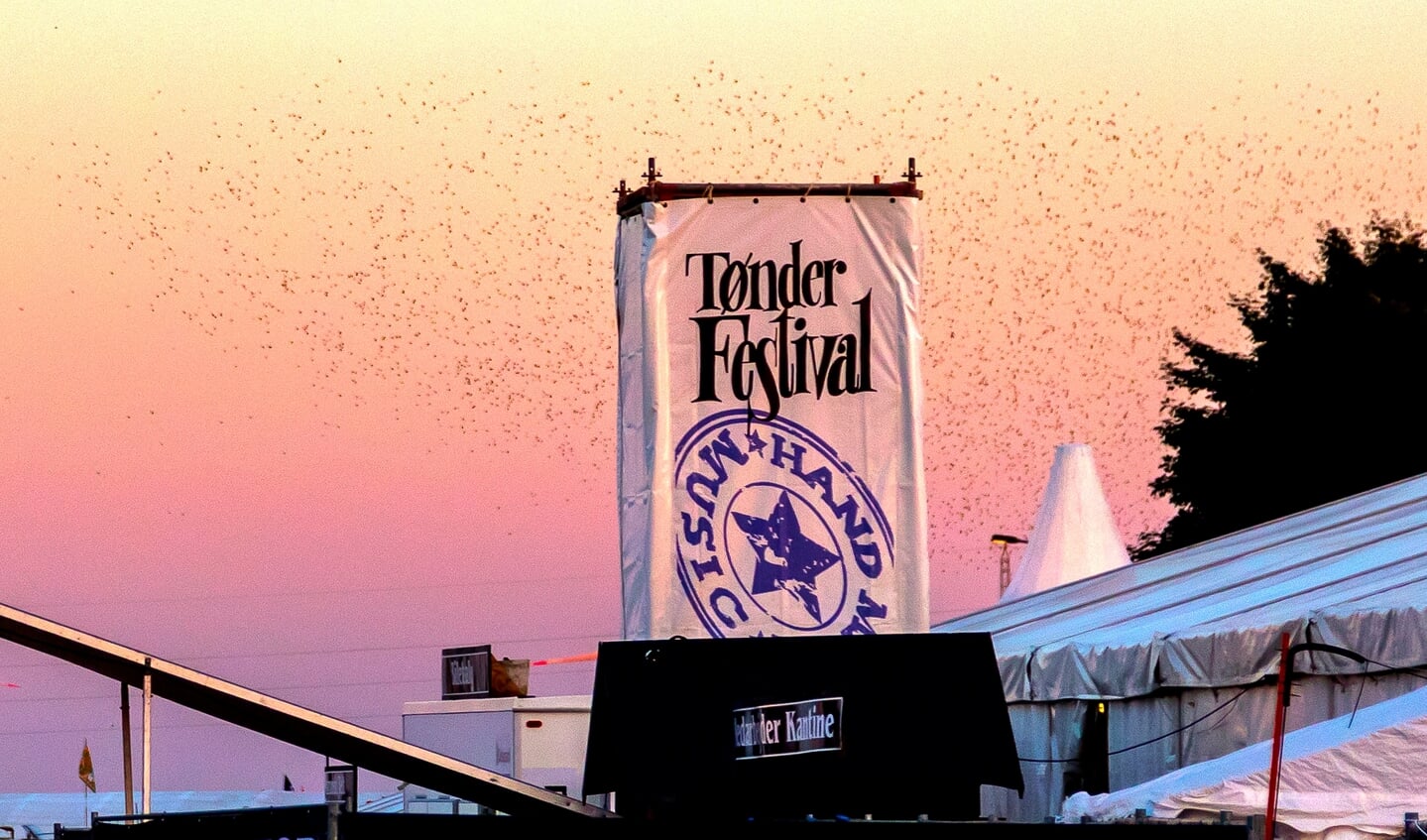 To års aflysninger har også betydning for den Tønder Festival, der møder gæsterne, når musikken igen spiller - måske i 2022. Foto: