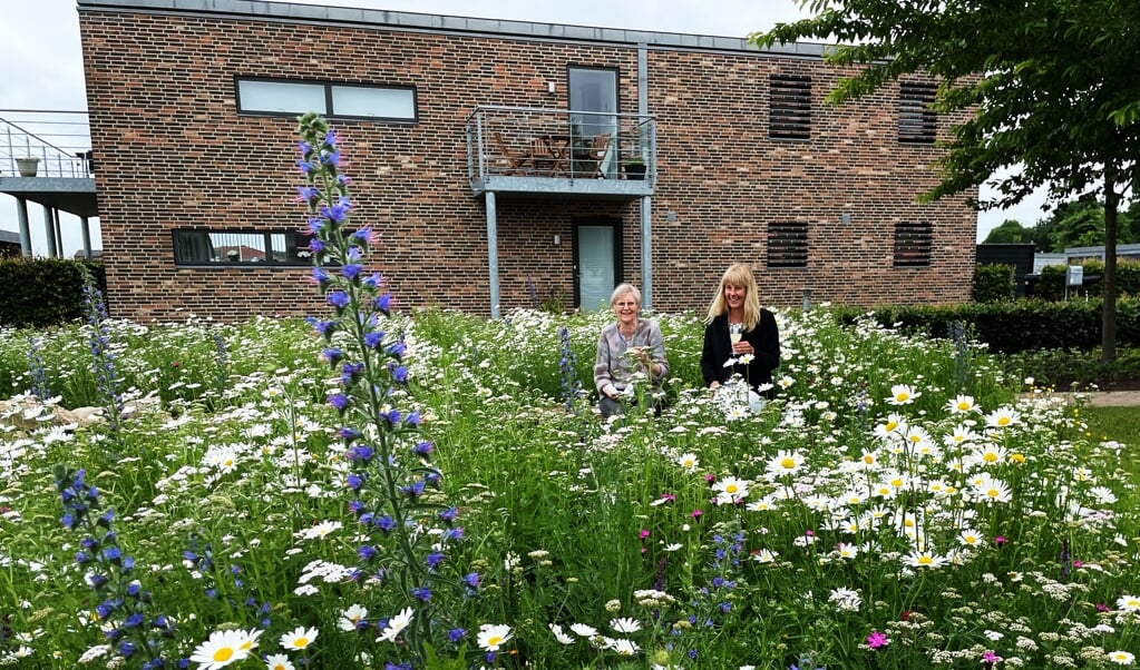 Formidlingshaven har fokus på biodiversitet, bæredygtighed og genbrug af materialer. (Katrine Lund Walsted, JydskeVestkysten)