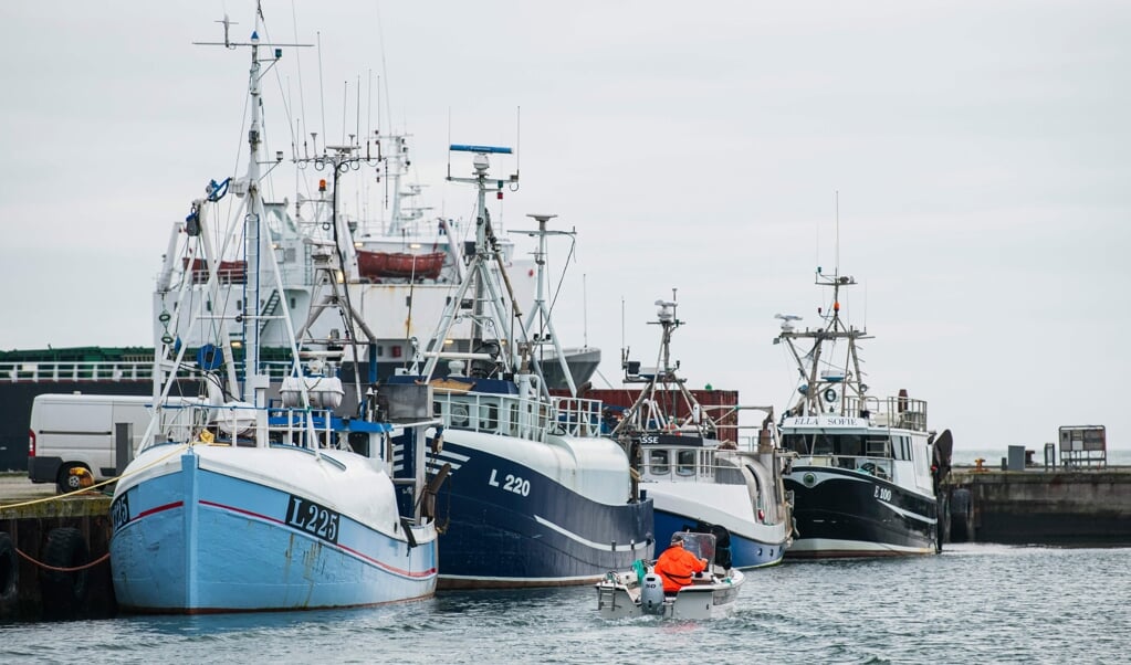 - Muslingefiskeri foregår typisk kun på nogle få procent af fjordens areal, så at give muslingefiskeriet skylden for alle dårligdomme i vores vandmiljø holder ikke, siger Henrik S. Lund, biolog i Danmarks Fiskeriforening.  (Jonathan Nackstrand/Ritzau Scanpix)