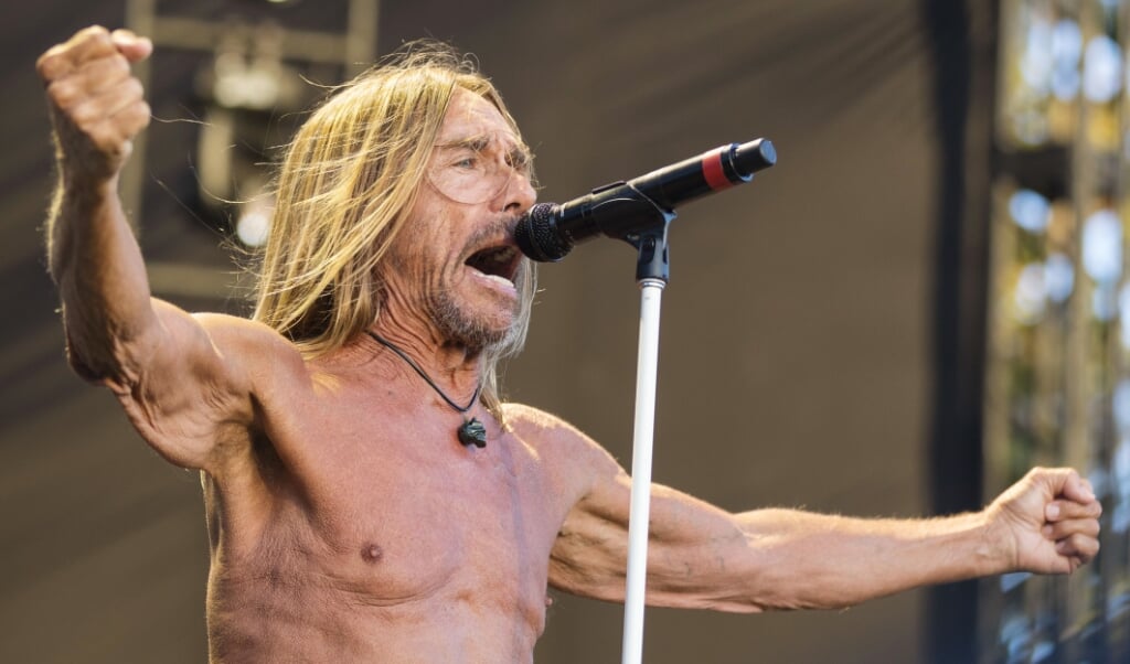 74-årige Iggy Pop bliver også kaldt