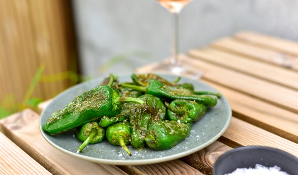 Tapas og rose, bedre bliver det ikke her om sommeren. En Spätburgunder er en populær drue. Mere om den i teksen her under ( Camilla Pi Kirkegaard)